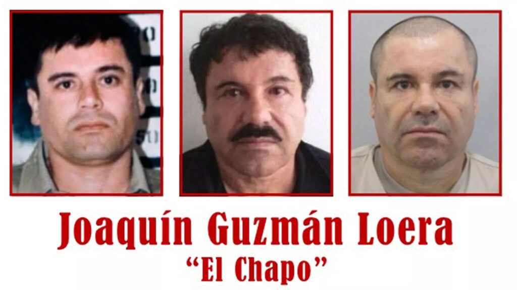 chapo guzman one piece