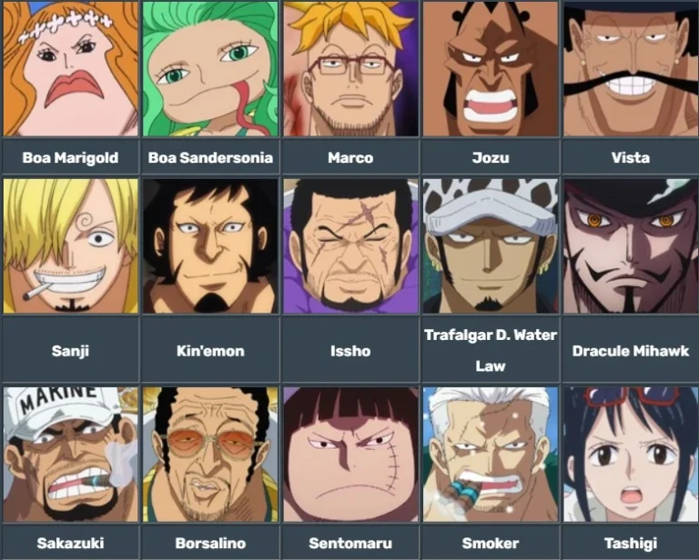 Haki de Armamento (Busoshoku Haki) y con Haki de Observación (Kenbunshoku Haki) 1