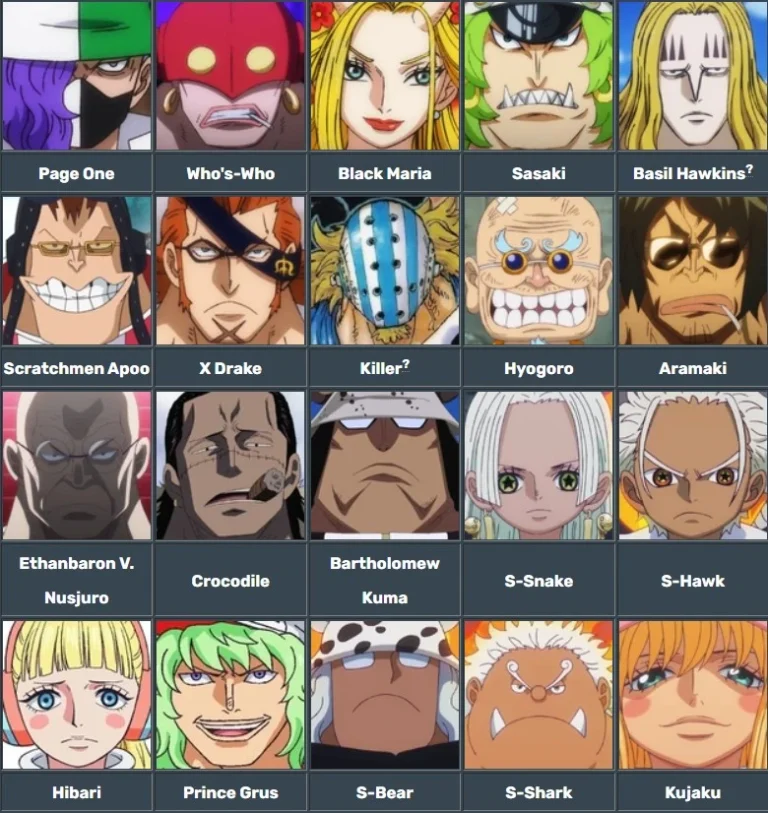 Haki de Armamento (Busoshoku Haki) y con Haki de Observación (Kenbunshoku Haki) 5