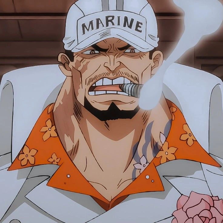 akainu one piece