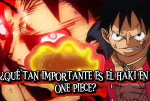 La importancia del Haki en One Piece